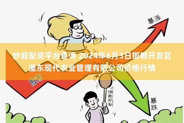 炒股配资平台查询 2024年6月3日邯郸开发区滏东现代农业管理有限公司价格行情