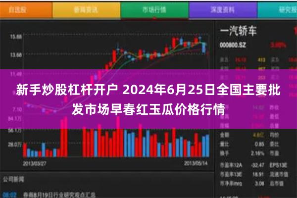 新手炒股杠杆开户 2024年6月25日全国主要批发市场早春红玉瓜价格行情