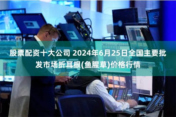 股票配资十大公司 2024年6月25日全国主要批发市场折耳根(鱼腥草)价格行情