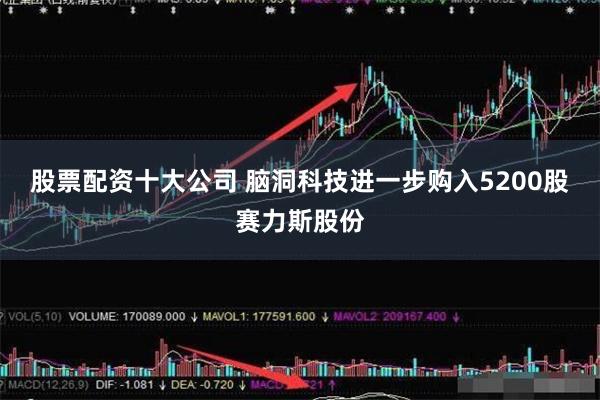 股票配资十大公司 脑洞科技进一步购入5200股赛力斯股份