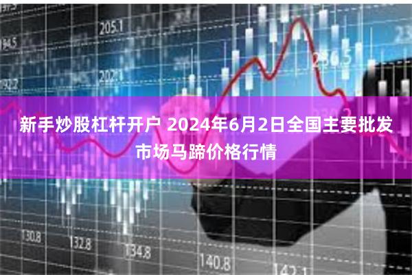 新手炒股杠杆开户 2024年6月2日全国主要批发市场马蹄价格行情