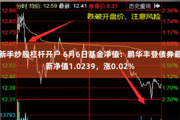 新手炒股杠杆开户 6月6日基金净值：鹏华丰登债券最新净值1.0239，涨0.02%