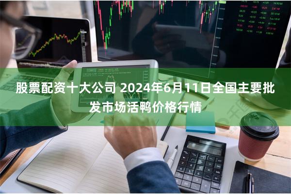 股票配资十大公司 2024年6月11日全国主要批发市场活鸭价格行情