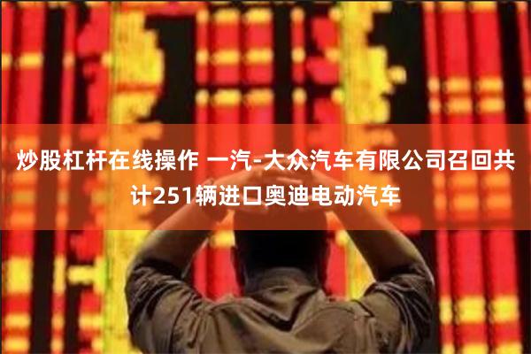 炒股杠杆在线操作 一汽-大众汽车有限公司召回共计251辆进口奥迪电动汽车