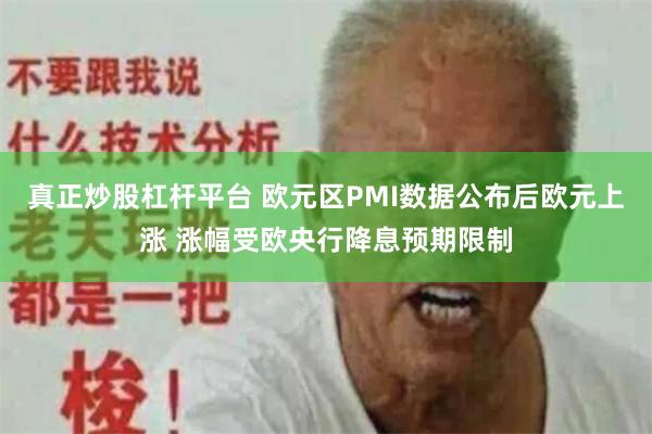 真正炒股杠杆平台 欧元区PMI数据公布后欧元上涨 涨幅受欧央行降息预期限制